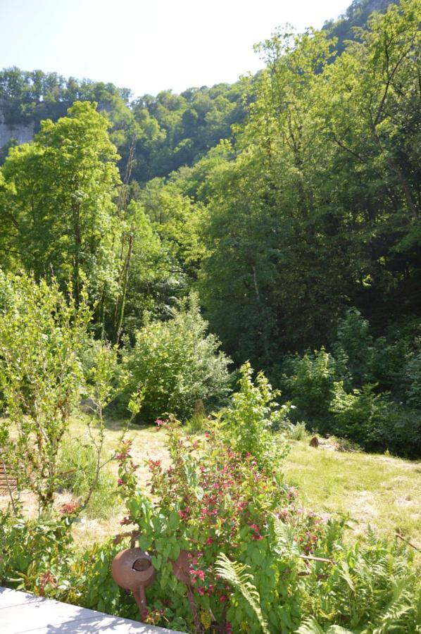 Cusance Moulin De La Cuse - L'Ilote Bed & Breakfast エクステリア 写真