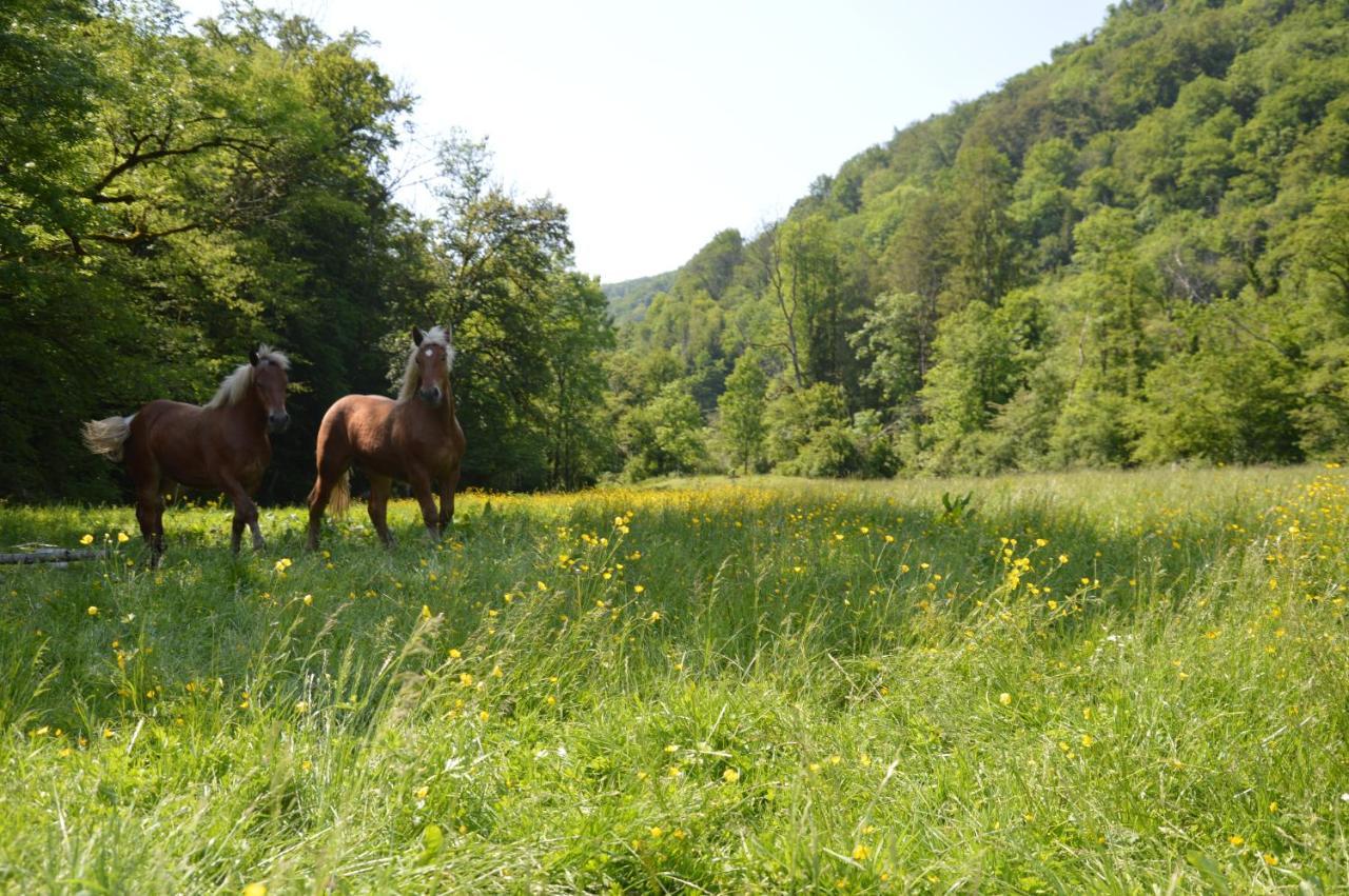Cusance Moulin De La Cuse - L'Ilote Bed & Breakfast エクステリア 写真